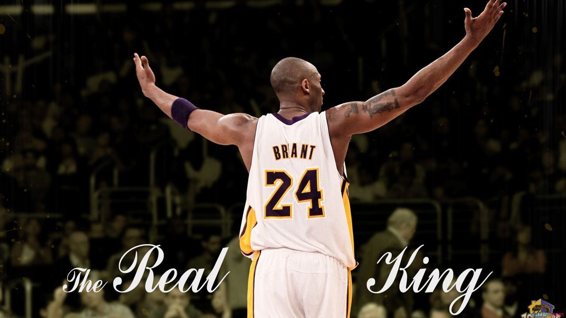 凯尔特人力克快船，小贾伦成为关键先生，新星闪耀的战术革命