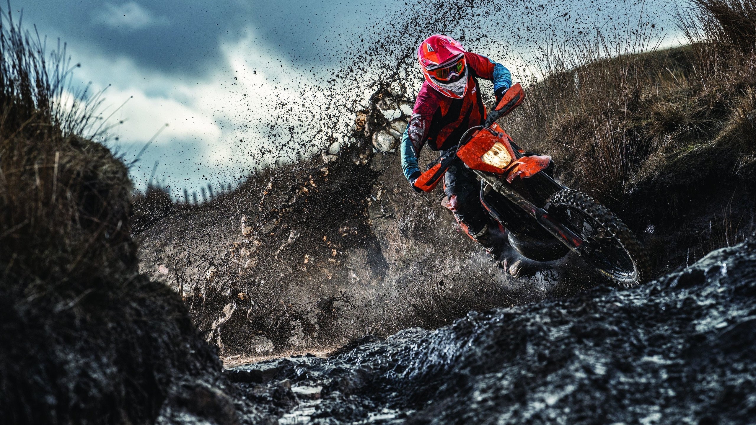 绿茵场上的失利与乒乓台前的光芒，体育竞技中的多维叙事